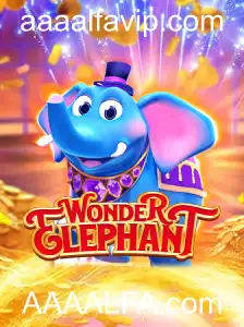 Descubra o Mundo Fascinante de WonderElephant